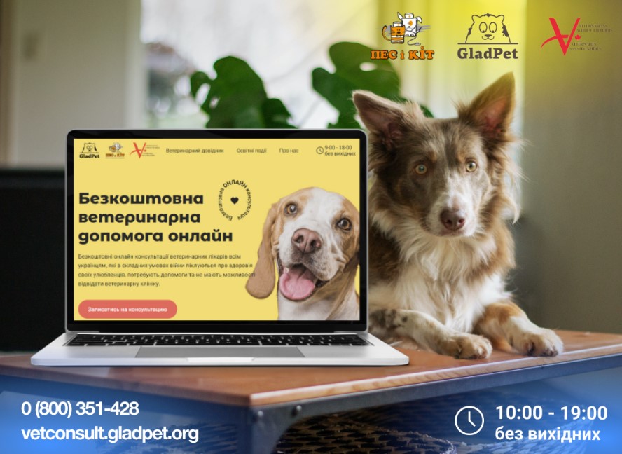 🐶 В Україні надають безкоштовні ветеринарні онлайн-консультації: як отримати? 